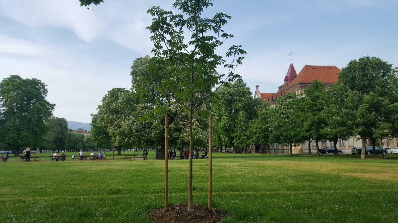 Apartment Roberta Загреб Екстериор снимка